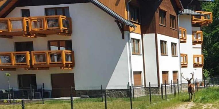 Apartament Gorski Widok شكلارسكا بوريبا المظهر الخارجي الصورة